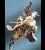 Chocolate Truffle, small